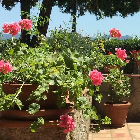 Campo Al Cerro Apartamento Bolgheri